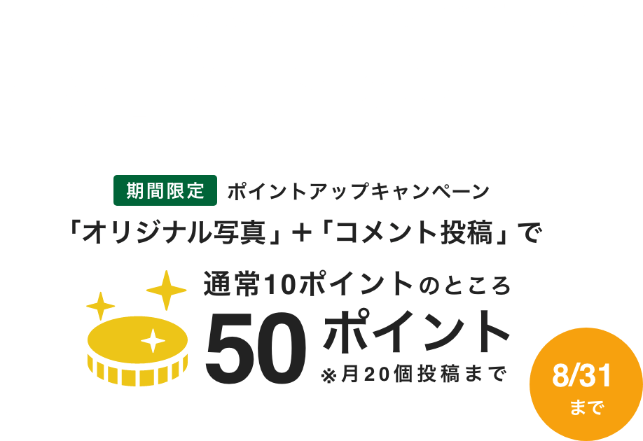 カインズの商品を使ったくらしのアイデア投稿でポイントをGET