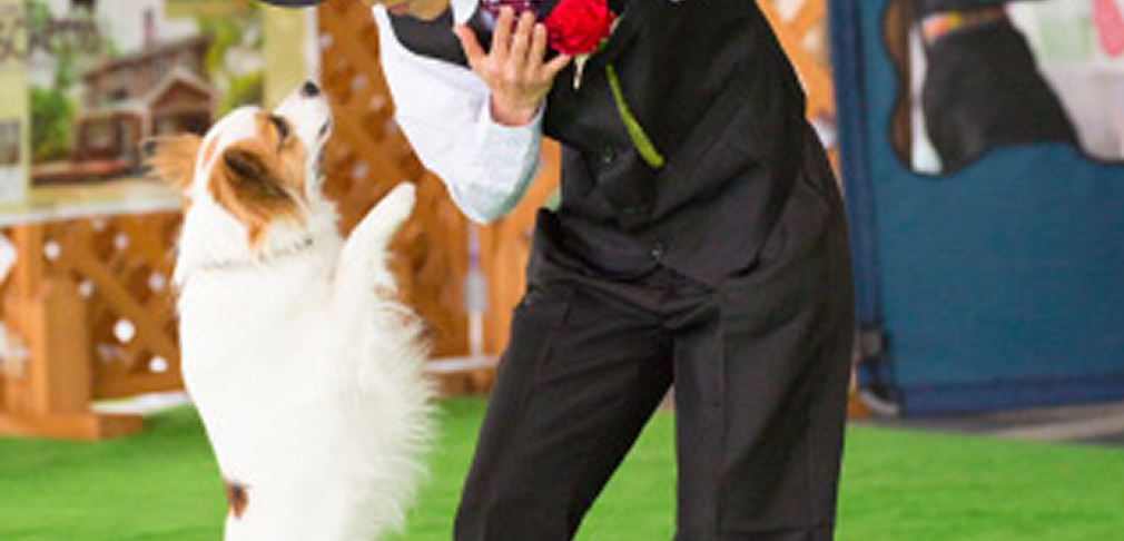 少しステップアップしたい方へおすすめ