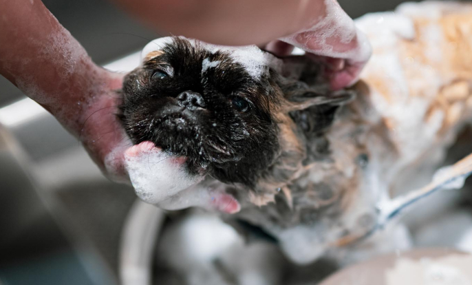 セルフウォッシュ