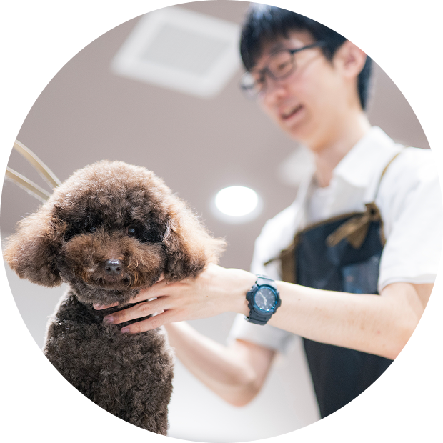 わんちゃん、ねこちゃんの変化をお客様にお伝えし、健康維持のサポートをいたします。