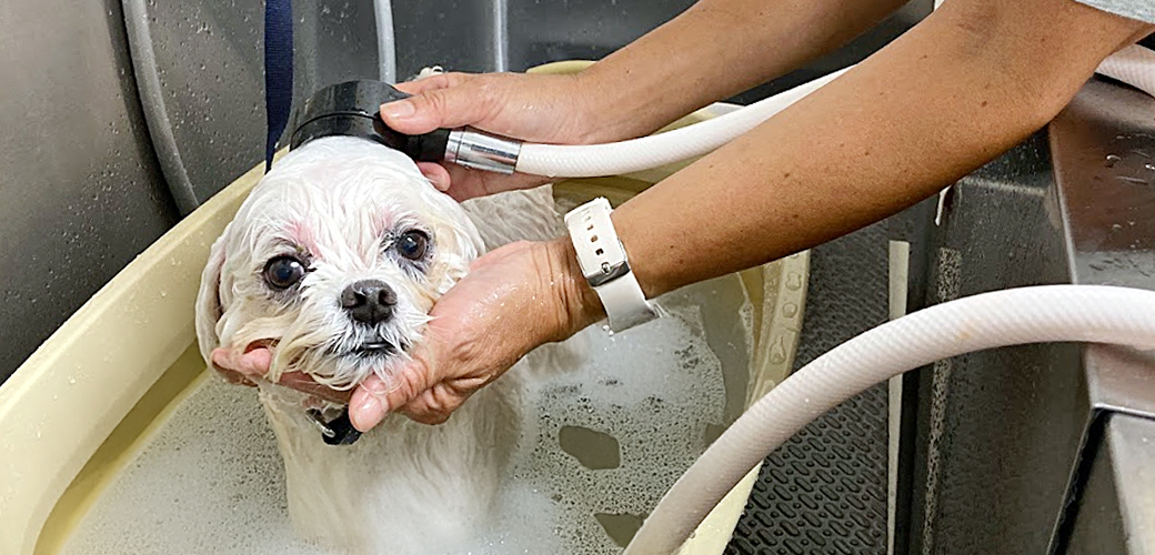 おすすめメニュー マイクロバブル